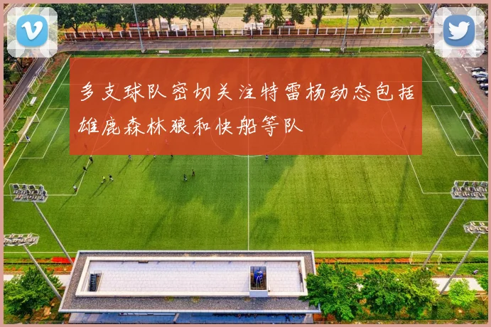 多支球队密切关注特雷杨动态包括雄鹿森林狼和快船等队